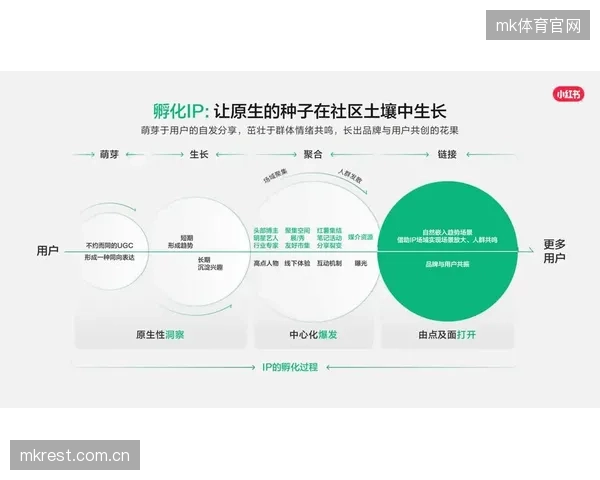 全域传播体系运营方当前周期升级用户运营 强化情感连接深度与广度